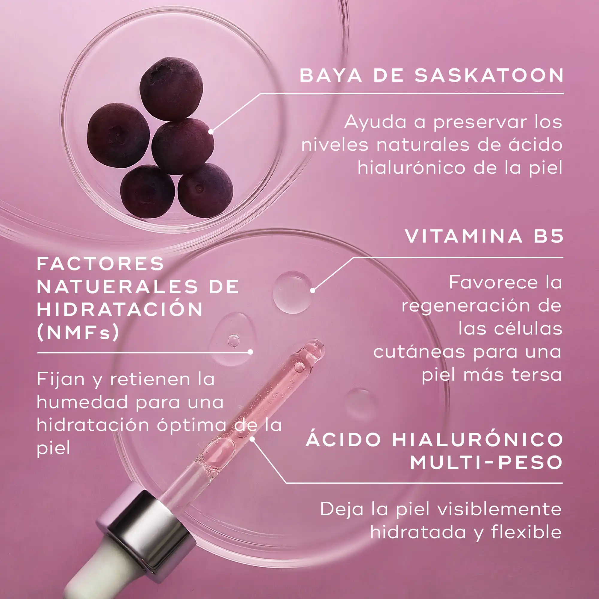 Hydr8 B5™ Intense - Image 5
